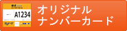 IWiio[J[h